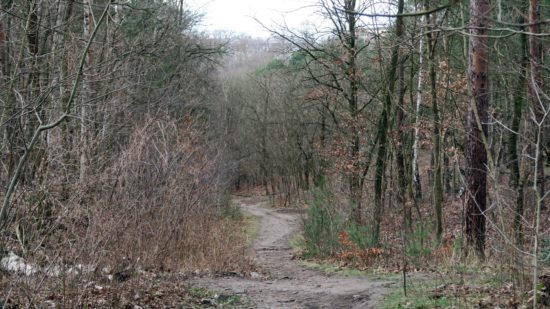 Bitte in der Heide auf den Hauptwegen bleiben.