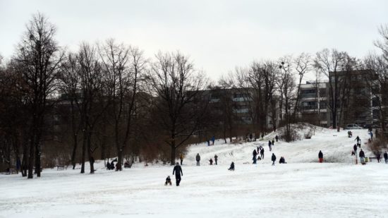 Dünne Pulverschneeschicht auf dem Alaunplatz