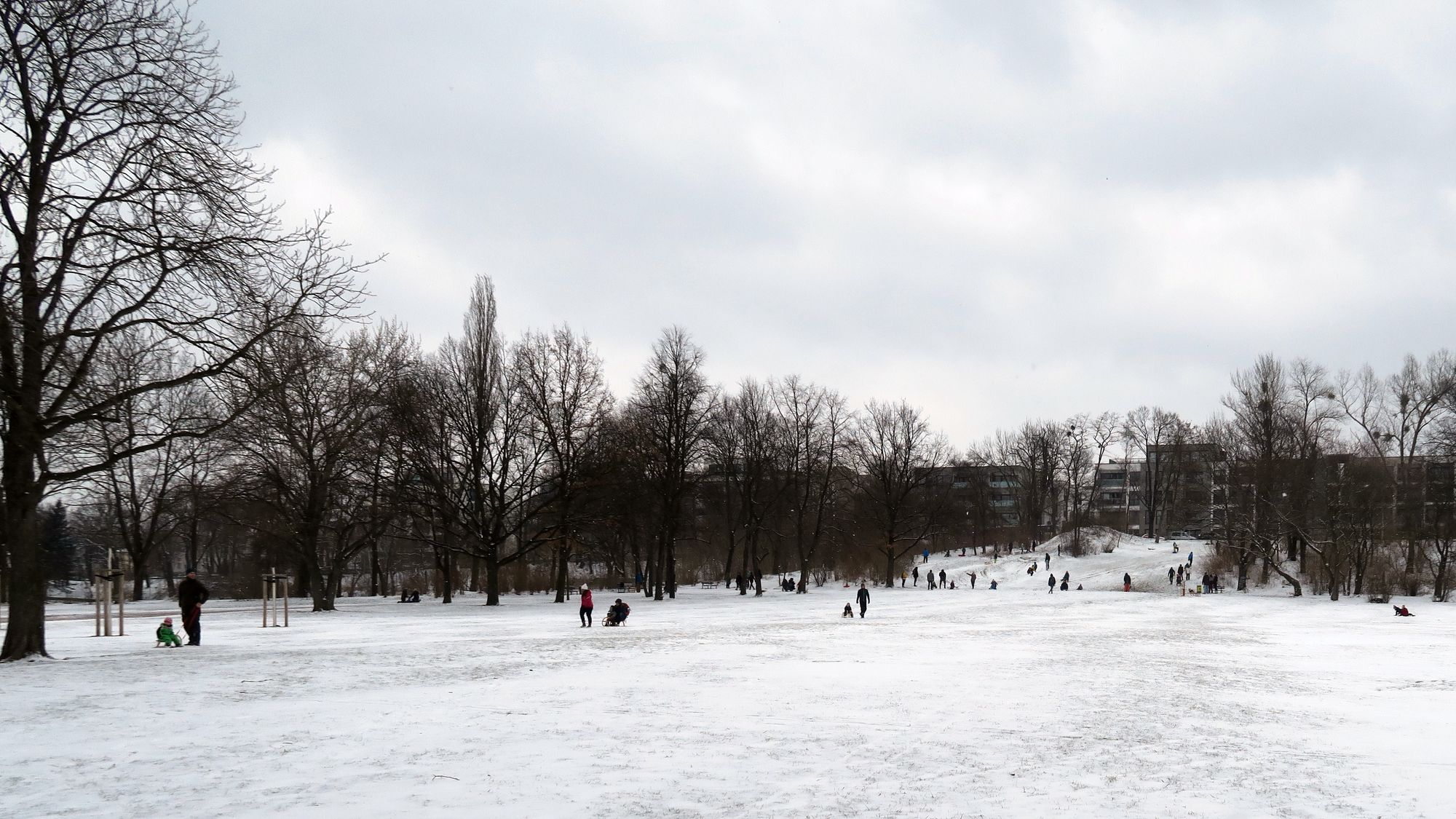 Dünne Pulverschneeschicht auf dem Alaunplatz