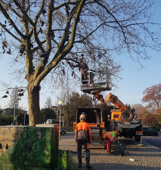 Schuhentfernungsarbeiten am Albertplatz