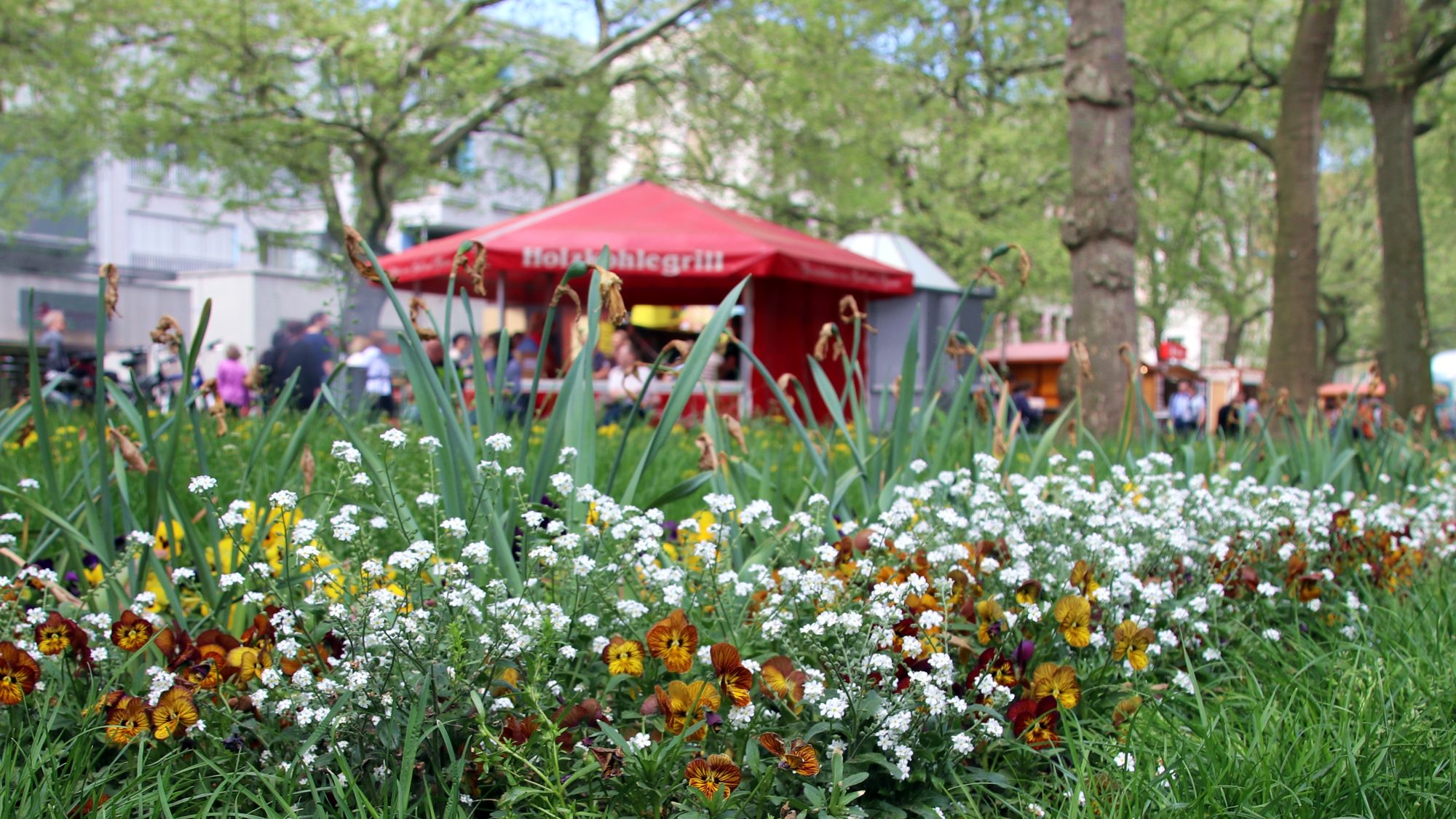 Frühling auf der Hauptstraße