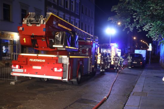 Brand im Louisengarten - Foto: Roland Halkasch