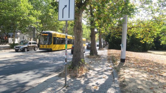 Der Weg wird etwas breiter und kann dann von Fußgängern und Radfahrern gemeinsam benutzt werden.