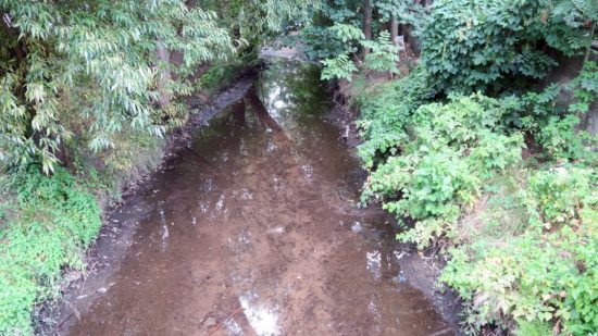 Zwischen Nordstraße und Elbe besteht die Prießnitz aktuell nur aus ein paar großen Pfützen.