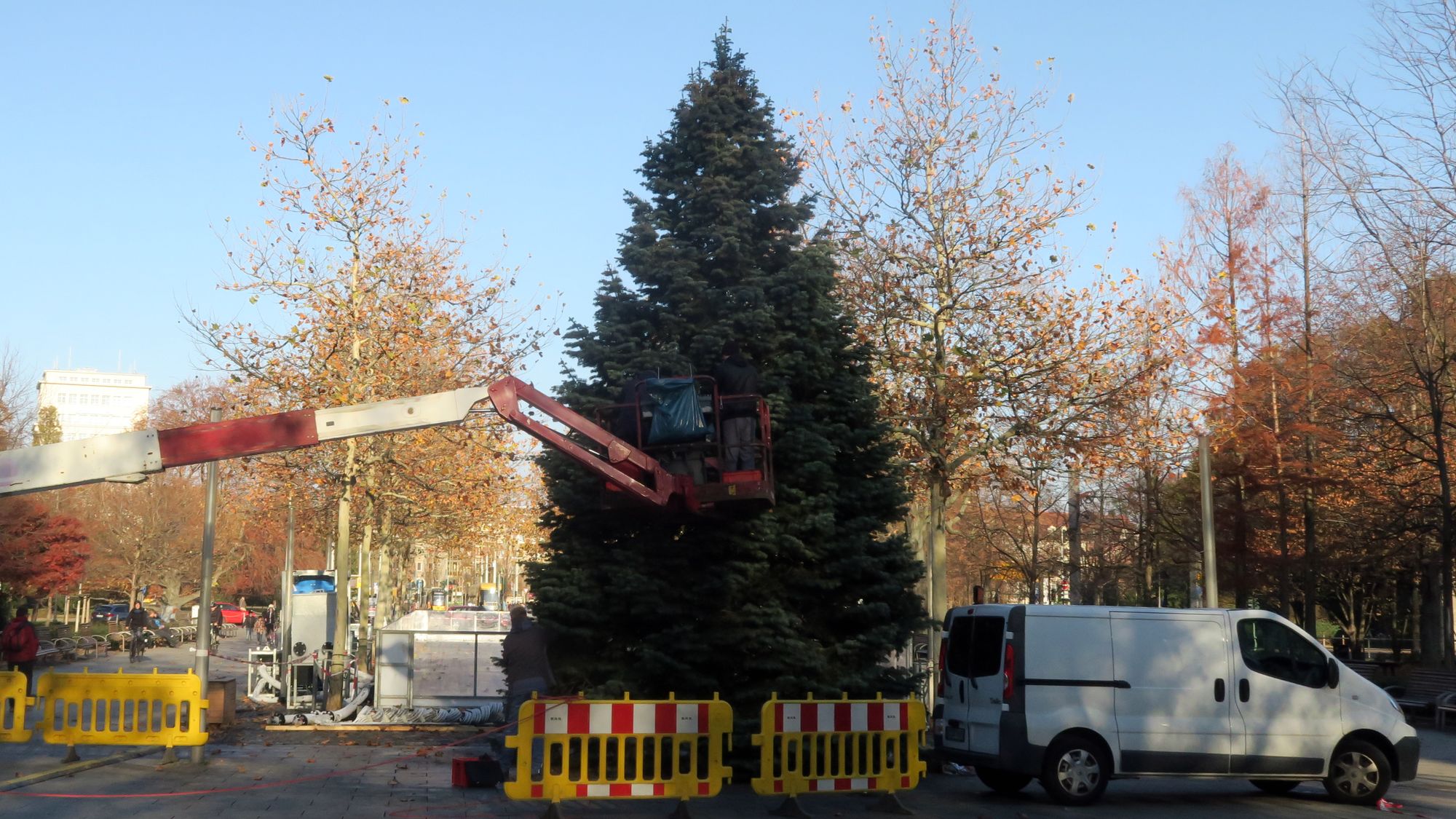 Eine Coloradotanne ziert nun den Jorge-Gomondai-Platz