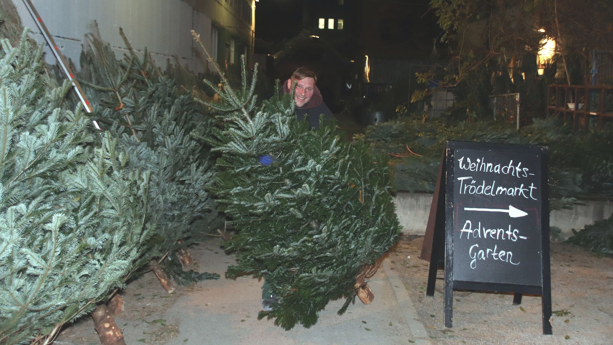 Weihnachtsbaumverkäufer Sven Hellmich