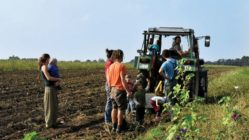 Solawi-Mitmachtag auf dem Schellehof - Foto: Christina Förster