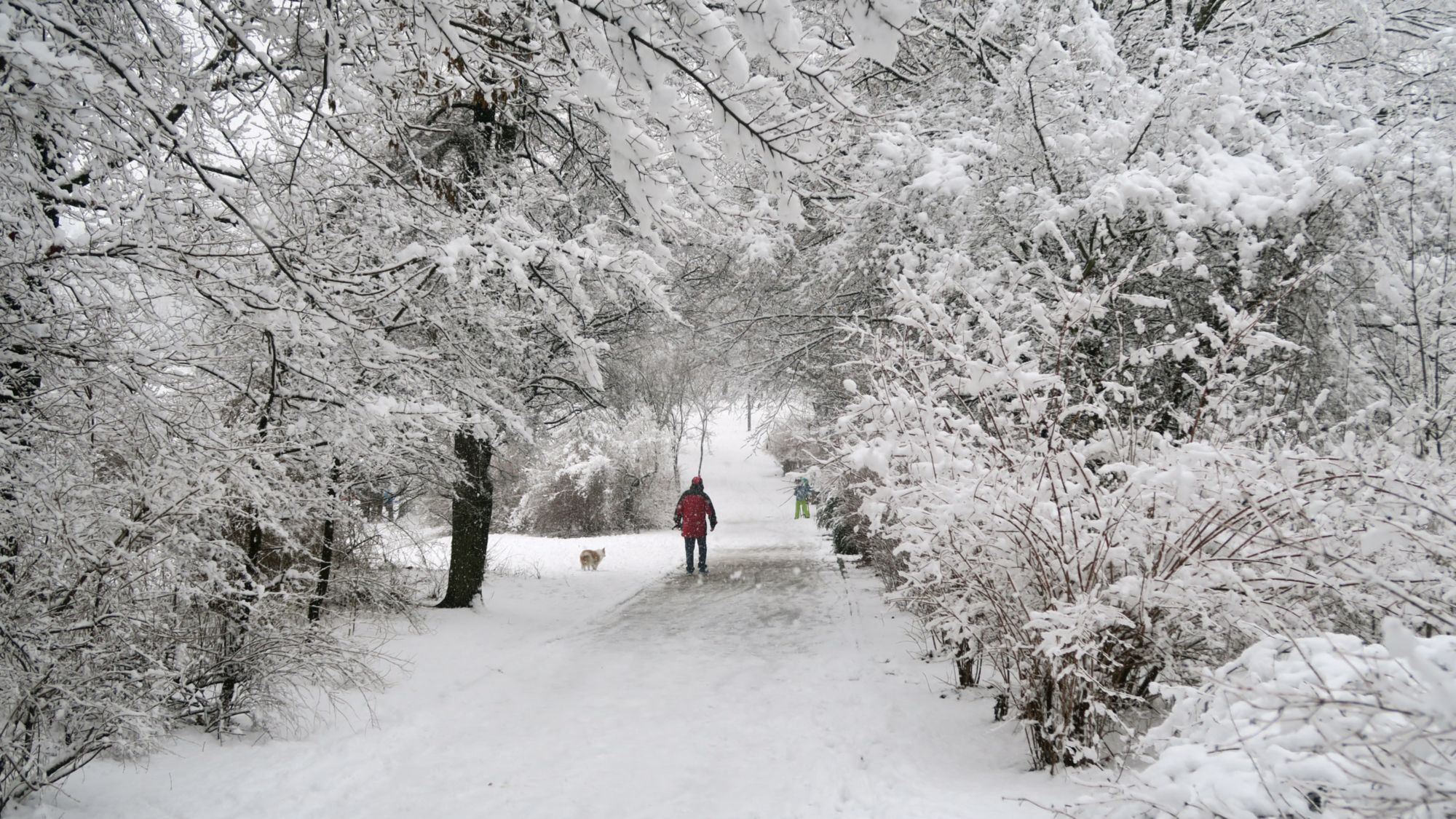 Könnte auch im Erzgebirge sein, der kleine Weg von der Tannenstraße