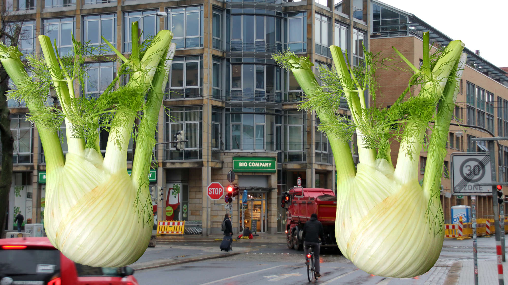 Guido sucht die schöne Fenchel-Frau