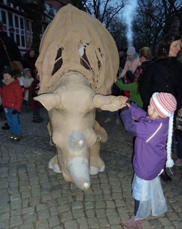 Nashorn beim Winteraustrieb 2018 - Foto: Uwe