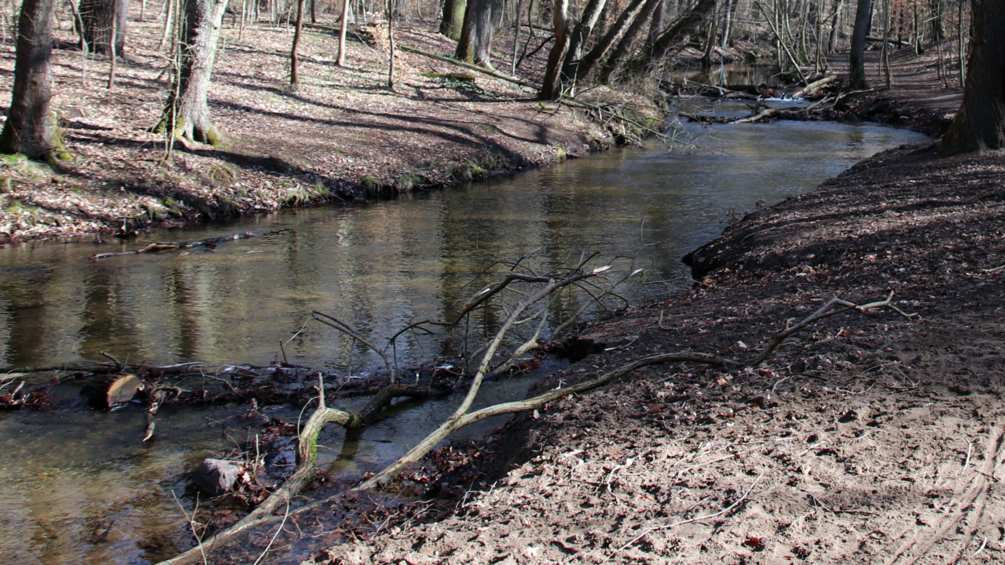 Der Bach durch die Heide.