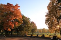 Alaunplatz - Foto: Stefan