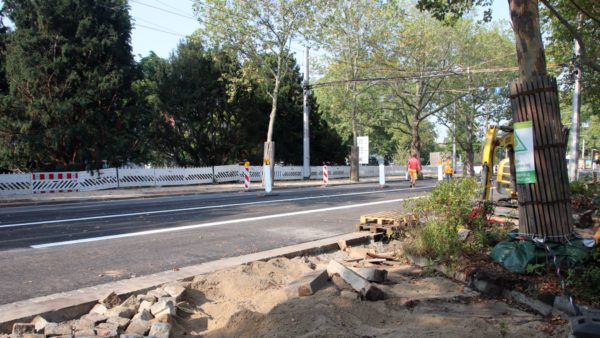 Zwischen Straße und Bäume kommt noch ein Radweg.