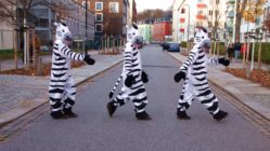 Zebrastreifen für das Hecht-Viertel gefordert - Fotomontage: Anton Launer