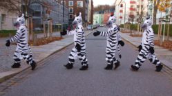 Zebrastreifen für das Hecht-Viertel gefordert - Fotomontage: Anton Launer