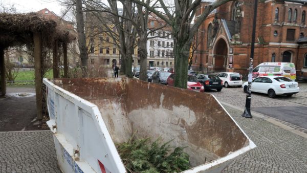 Container für die Bäumchen im Hecht-Viertel am Königsbrücker Platz. Foto: Archiv