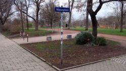 Weihnachtsbaum-Ablage-Platz am Alaunplatz