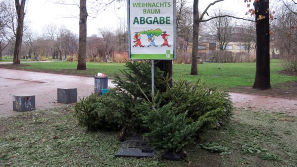 Weihnachtsbaumablagestelle am Alaunplatz