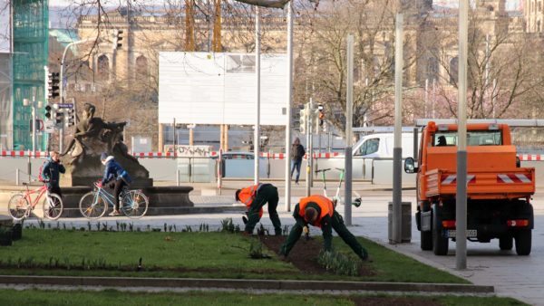 Mitarbeiterinnen und Mitarbeiter des Grünflächenamtes pflanzen neue Frühjahrsblüher wie Narzissen, Tulpen und Hyazinthen.