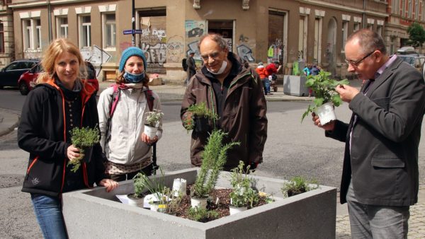 Kathrin Köhler vom Hechtviertelverein, Stadtgärtnerin Annica Kögler, Rainer Pietrusky vom Neuer Hafen e.V. und Stadtbezirksamtsleiter André Barth