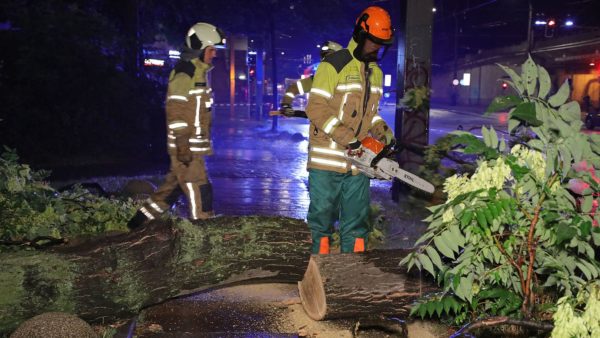 Die Feuerwehr sicherte die Abbruchstelle - Personen kamen nicht zu Schaden. Foto: Roland Halkasch