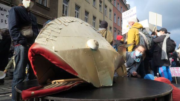 Goldner Karpfen im Hechtteich.