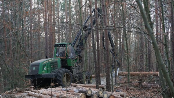 Groß, grün und geschwind: Ein Harvester - Foto: Jonas Breitner