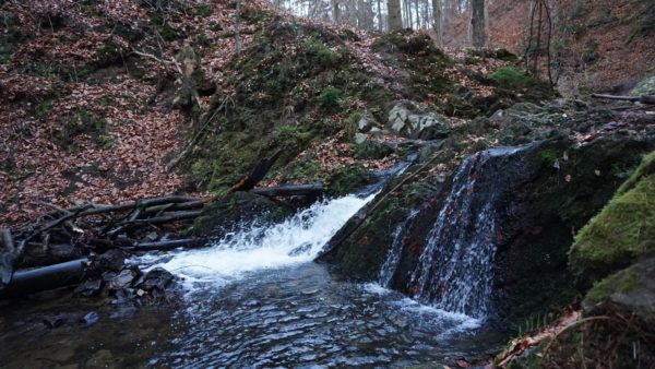 Wasserfällchen - Foto: Jonas Breitner