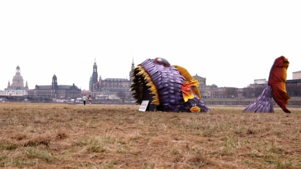 der hölzerne Fisch befindet sich unterhalb des Japanischen Palais - Foto: Tino Plunert