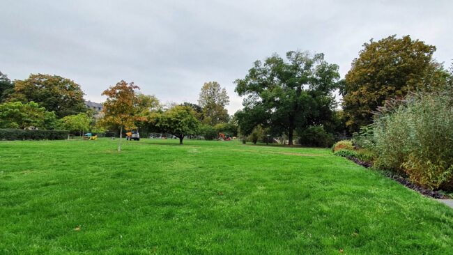 Erneuerungsarbeiten auf dem Alaunplatz