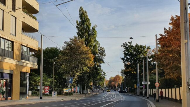 Bautzner Straße in Höhe des Diakonissenkrankenhauses