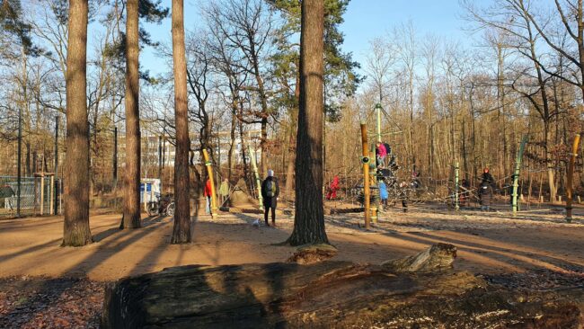 Waldspielplatz im Albertpark