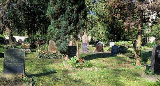 Innerer Neustädter Friedhof – Foto: Philina Eppers