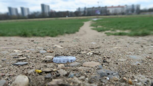 Müll an der Elbe Foto: Philna Eppers