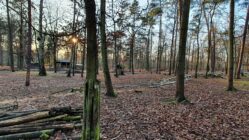 Albertpark Dresden - Foto: Archiv Anton Launer/Dezember 2021