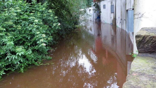 2013 hatte sich der Prießnitzbogen in einen kleinen See verwandelt.