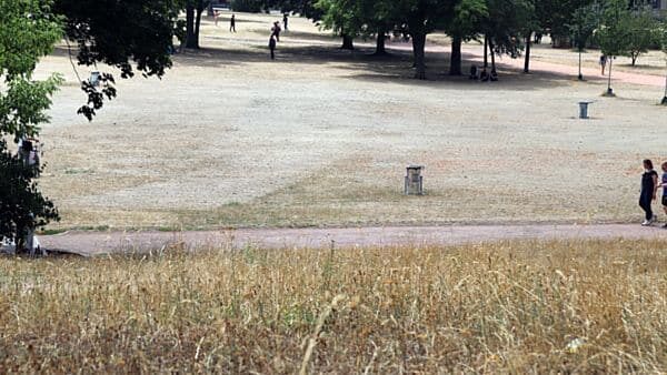 Aktuell staubtrocken - der Alaunplatz. Grillen ist hier ohnehin nur an den Tischtennisplatten erlaubt.