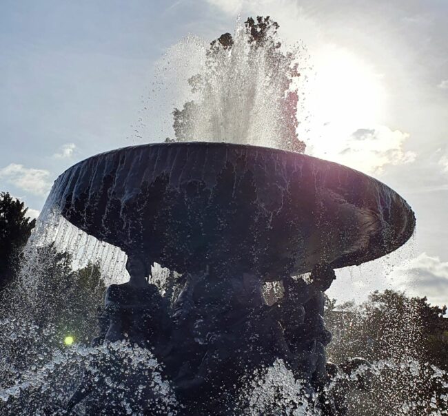 Stille Wasser am Albertplatz