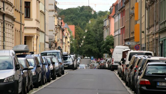 Taugt die Prießnitzstraße zur Allee?