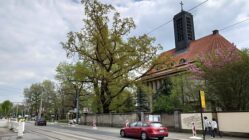 Die Bautzner Straße wird für zwei Jahre zum Nadelöhr. Straßenbahnen fahren ab 2. Mai nicht mehr.