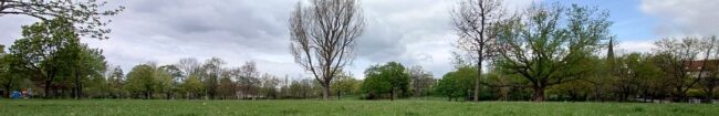 Alaunplatz im Frühling