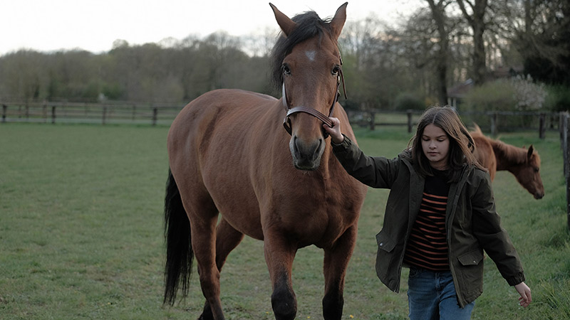 Für die ganze Familie: Zoè & Sturm – Mein Traum vom Reiten – in der Schauburg