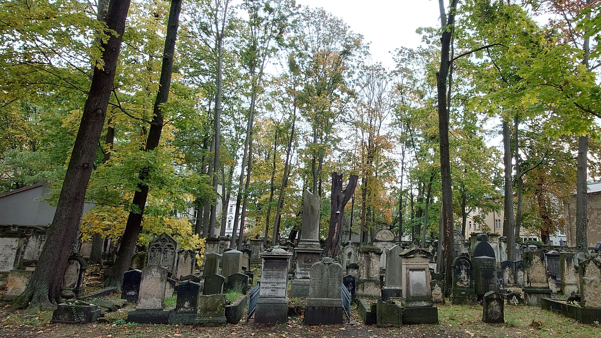 Am 19. November gibt es eine Führung über den Alten Jüdischen Friedhof an der Pulsnitzer Straße.