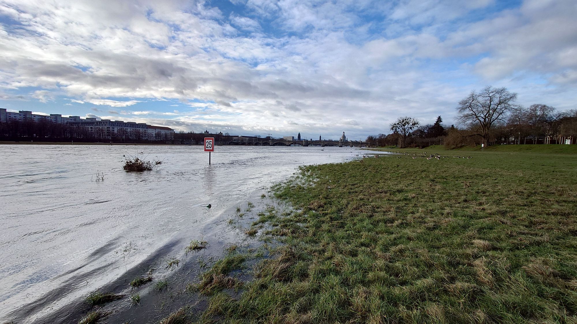 Heute Vormittag schwepperte die Elbe schon wieder weit über die Wiesen. Inzwischen  ist der Pegel um weitere 30 Zentimeter gestiegen.