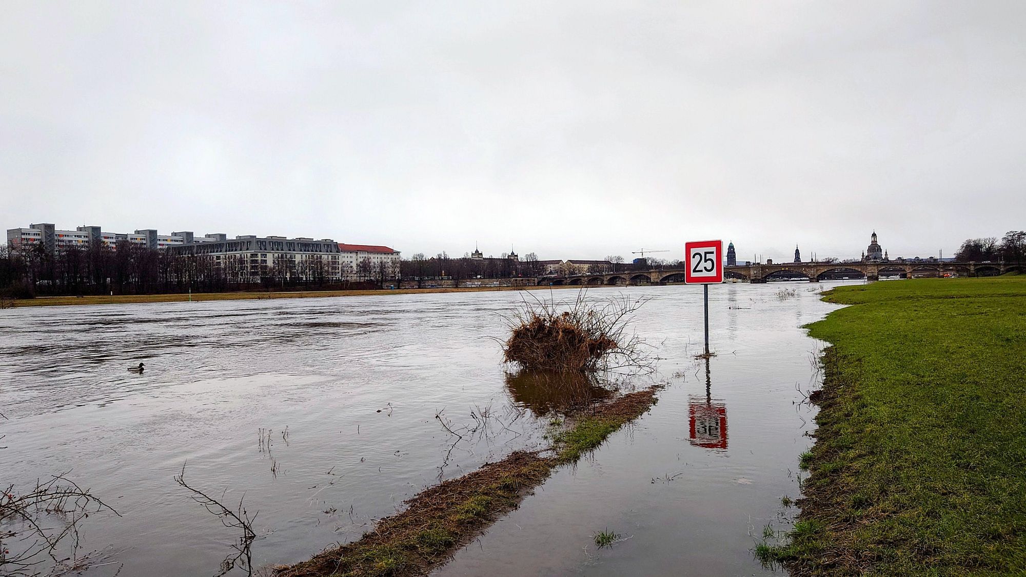 Macht sich schon wieder ganz schön breit: die Elbe