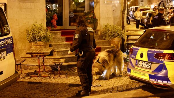 Ob der Hund tatsächlich dem Mann gehört, ist aktuell noch unklar. Foto: Florian Varga