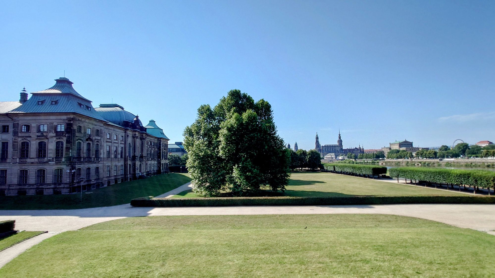 Die große Wiese hinter dem Japanischen Palais bleibt den größten Teil des Sommers unbespielt. Der Rasen freut sich still. Foto: Anton Launer