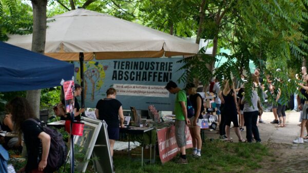 Veganer Sommermarkt an der Chemiefabrik - Foto: PR