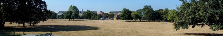 Sommerlicher Alaunplatz