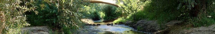 Prießnitzmündung im August 2024